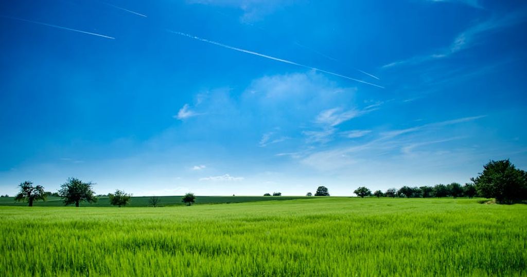 Ákos Szabó באתר PEXELS Land